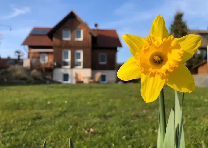Ferienwohnung Werrablick Hedemuenden - Gartenbenutzung Mit Grill - Wlan