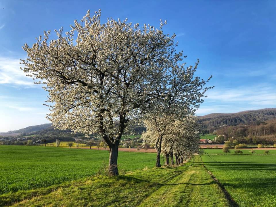 Werrablick Hedemuenden - Gartenbenutzung Mit Grill - Wlan Munden (Hann. Munden)