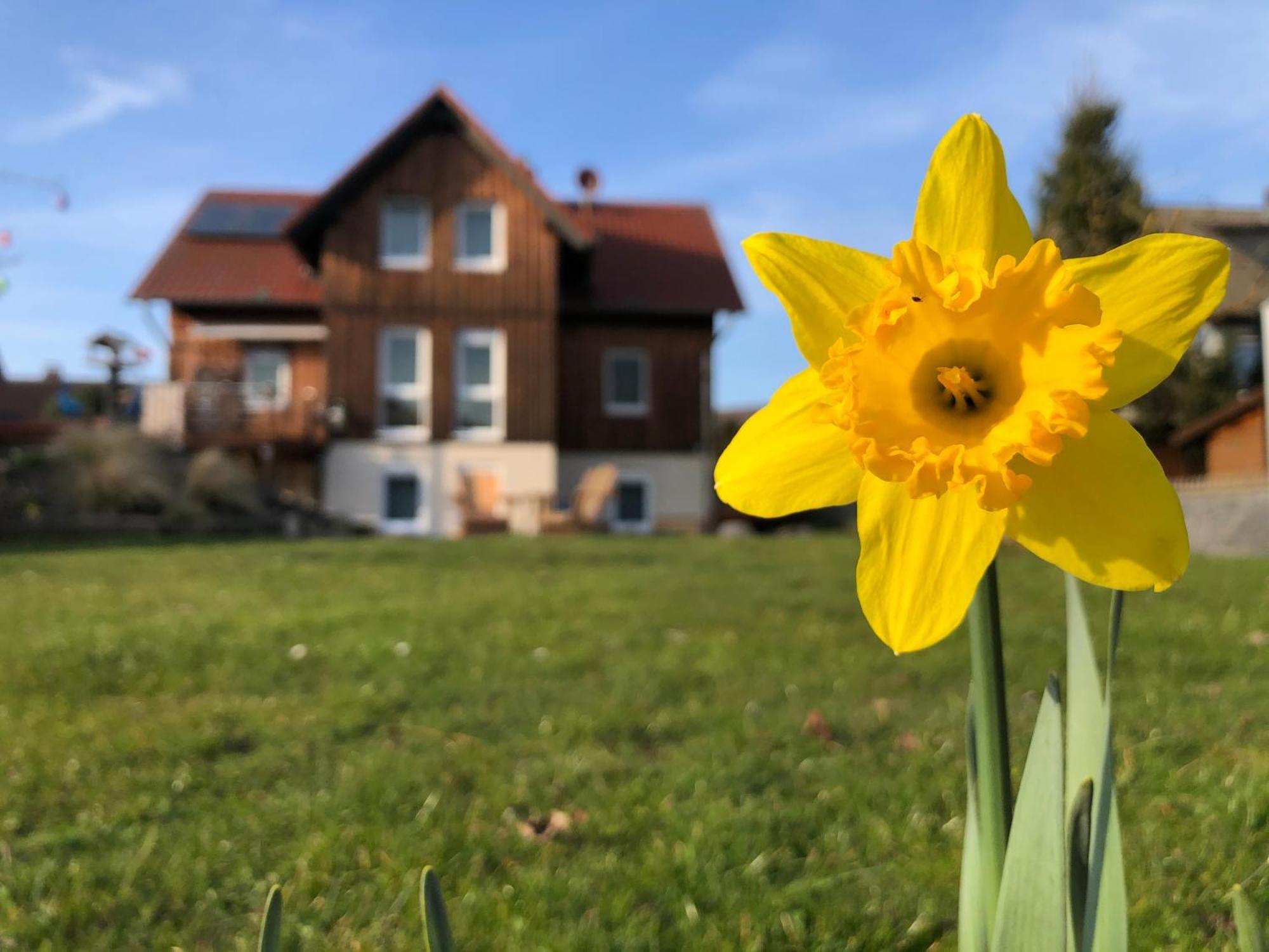 Werrablick Hedemuenden - Gartenbenutzung Mit Grill - Wlan Hannoversch Münden