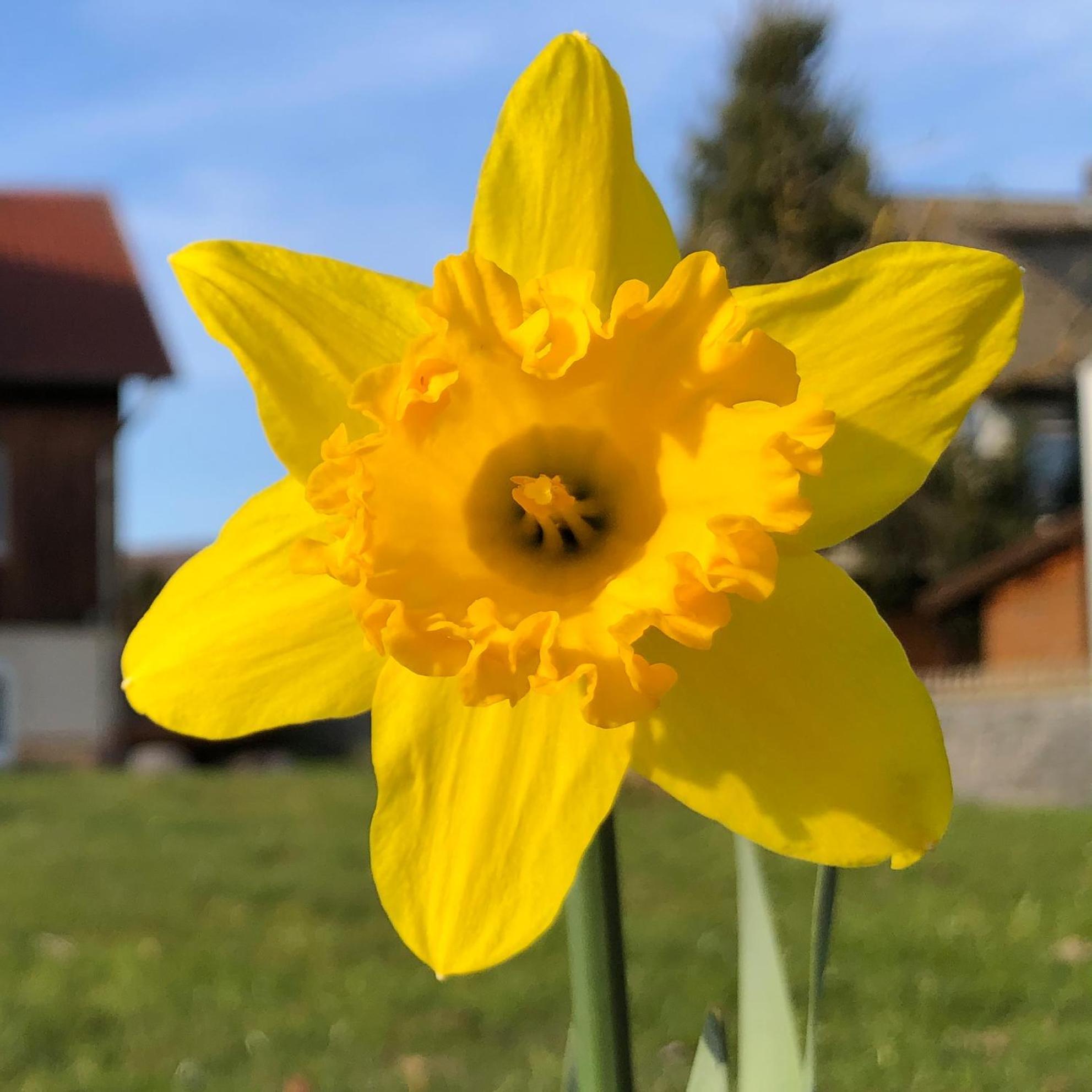 Apartamento Werrablick Hedemuenden - Gartenbenutzung Mit Grill - Wlan